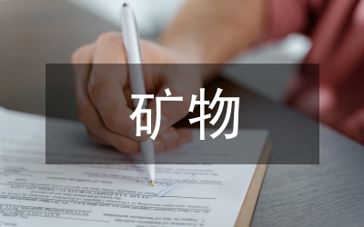 2006礦物業(yè)公司工會年終工作總結(jié)