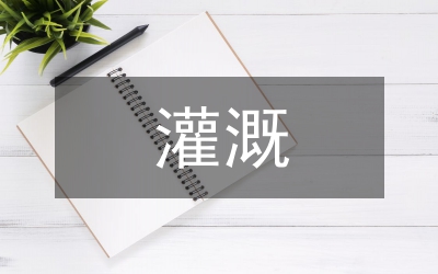 節(jié)水灌溉技術(shù)模式