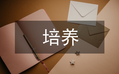 價(jià)值觀的培養(yǎng)