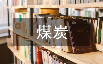 煤炭企業(yè)稅務(wù)風(fēng)險(xiǎn)研究