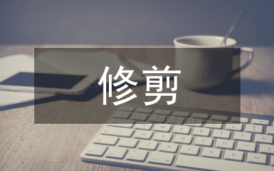 橡皮樹的修剪