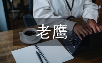 老鷹抓小雞游戲規(guī)則
