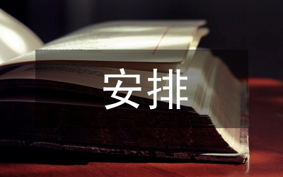調(diào)研工作分工安排