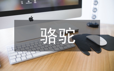 駱駝祥子讀書筆記
