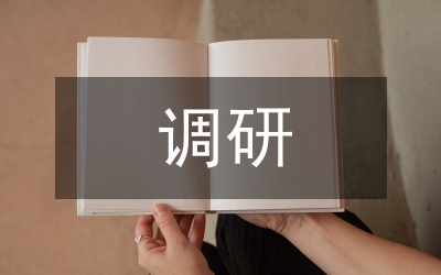 調(diào)研報告
