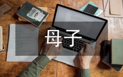 母子型企業(yè)集團(tuán)財務(wù)管理體系構(gòu)建論文