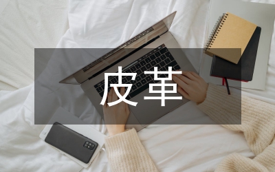 皮革制品