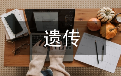 非遺傳承創(chuàng)新