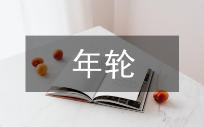 上半年輪胎橡膠公司工作匯報(bào)