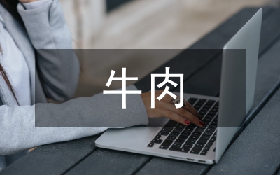 牛肉公司銷售部個人小結(jié)