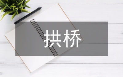 鋼拱橋頂推施工及安全控制技術(shù)分析