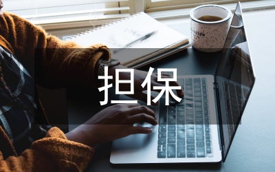 小額擔(dān)保