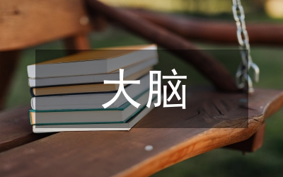 論大腦視覺化下聲樂教學(xué)藝術(shù)