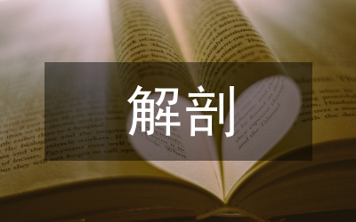 解剖生理學(xué)論文