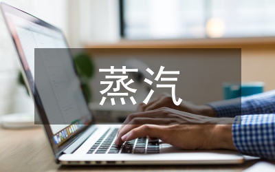 蒸汽流量計量準(zhǔn)確性論文