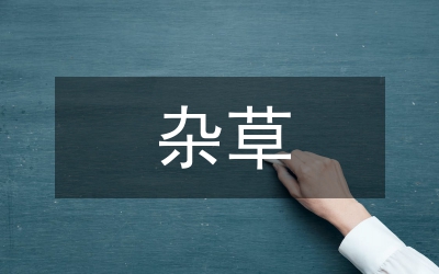 雜草稻的特點(diǎn)及防治技術(shù)綜述