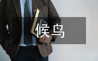 越冬候鳥(niǎo)保護(hù)事宜