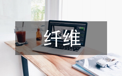 纖維藝術(shù)論文：透析現(xiàn)代意識(shí)工藝下纖維藝術(shù)
