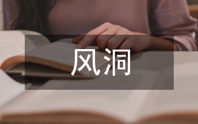 風洞高大支撐模板施工方案研究