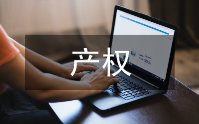 產(chǎn)權(quán)制度完善