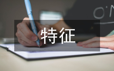 旅游市場(chǎng)特征
