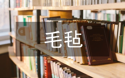 毛氈衍生產(chǎn)品創(chuàng)新設(shè)計研究