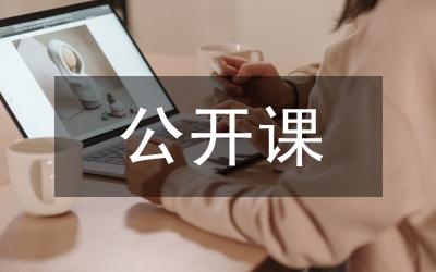 公開(kāi)課文化現(xiàn)象研究開(kāi)題匯報(bào)材料