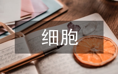 內(nèi)皮祖細(xì)胞分析論文