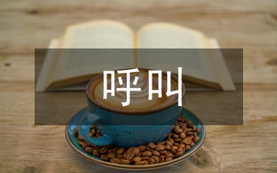 呼叫中心實(shí)踐個(gè)人感言