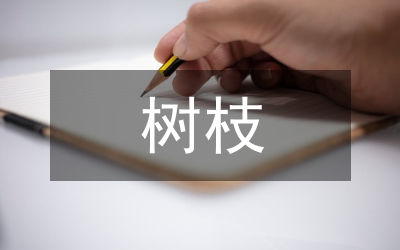 楊樹(shù)枝干害蟲(chóng)應(yīng)急處置預(yù)案