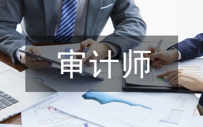總審計師對照檢查學(xué)習(xí)材料