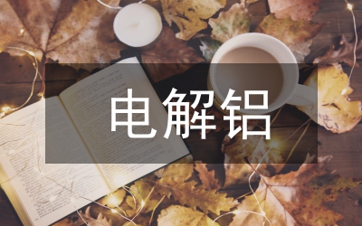 電解鋁項(xiàng)目施工組織管理探討