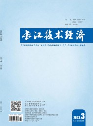 長(zhǎng)江技術(shù)經(jīng)濟(jì)