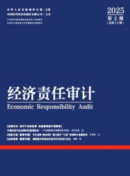 經(jīng)濟(jì)責(zé)任審計