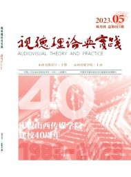 視聽理論與實(shí)踐